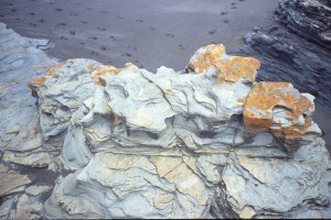 0168 Pacifik - Pelluhue.jpg